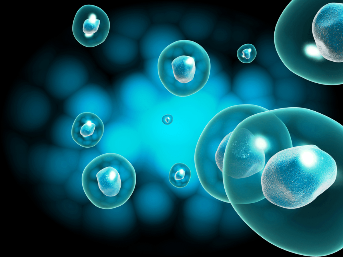 Who Is a Good Candidate for Stem Cell Therapy? - Priority You MD